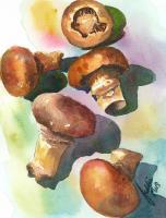 Still Life - Magic Mushrooms - Watercolor